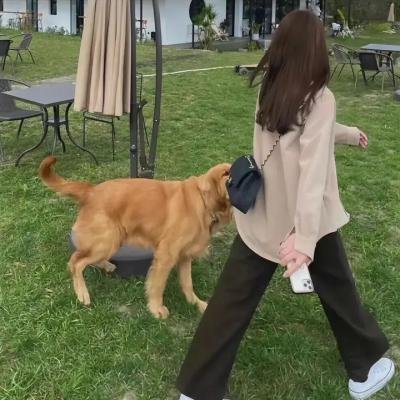 特战行动队